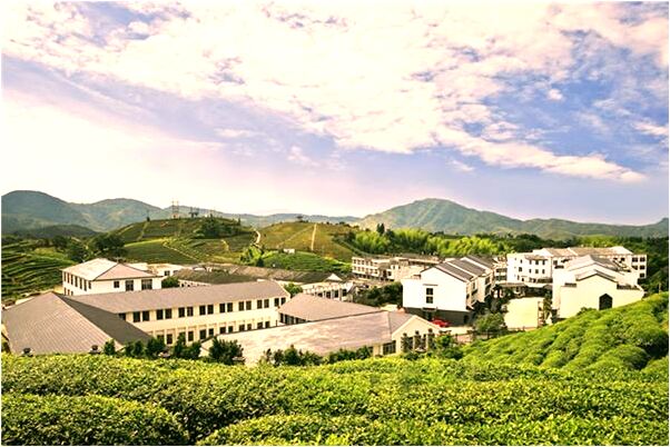 夢到大蜘蛛掉到身上爬來爬去是啥意思_周公解夢官網