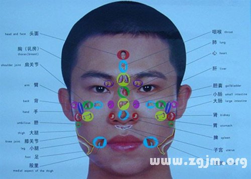 算命：面相額頭紋