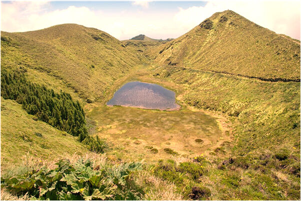 夢到了掃地上的煤會是什麼預兆_周公解夢官網