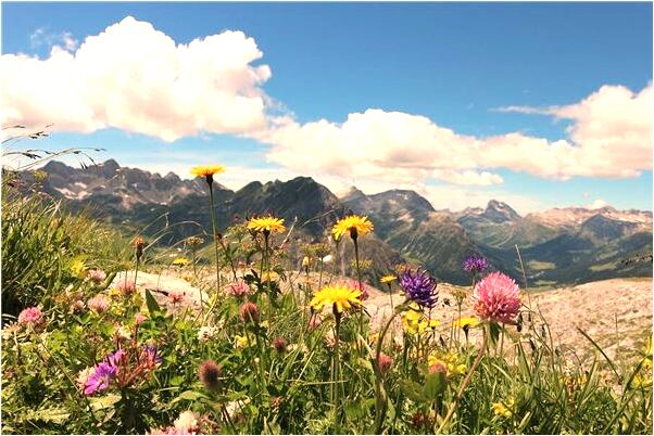 夢到下雨跑著淋身上了有什麼預兆_周公解夢官網