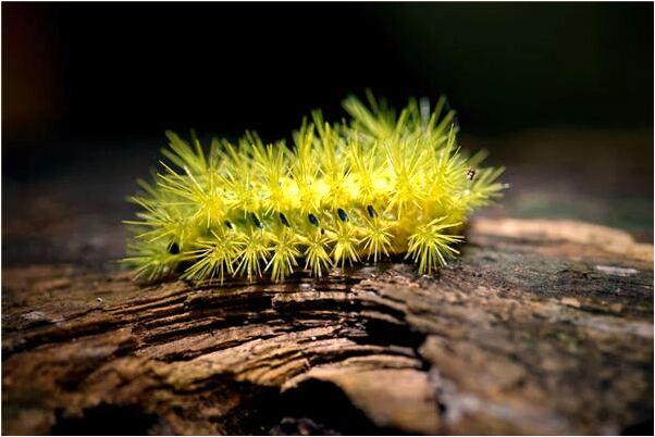 夢見老公穿新鞋怎么說_周公解夢官網