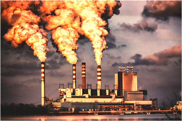 夢到被狗咬但不流血預示了什麼_周公解夢官網