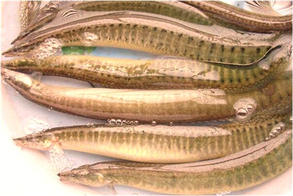 夢到老姥姥會有什麼預兆_周公解夢官網