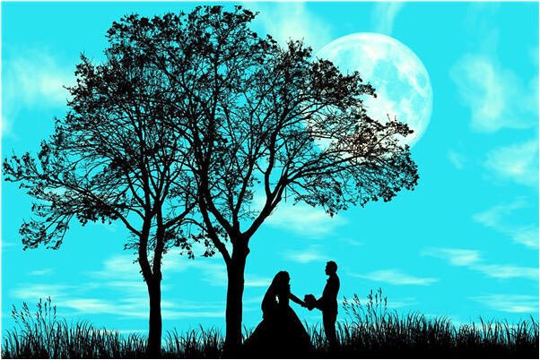 夢到挖到烏龜怎么說_周公解夢官網