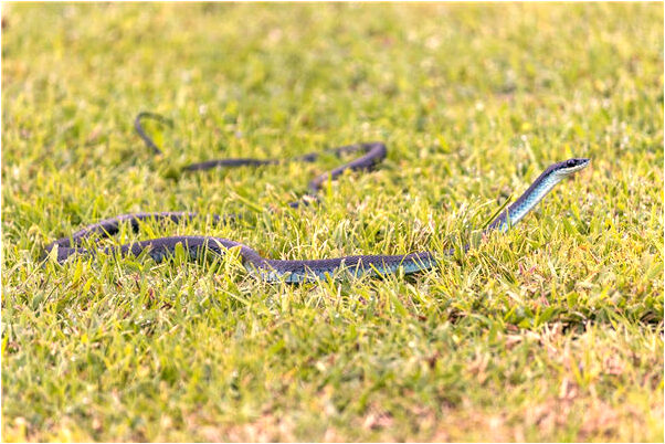 夢見老公在我面前和人做愛是什麼啟示_周公解夢官網