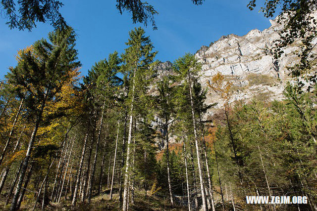 夢見上了年紀的人黑貓_周公解夢夢到上了年紀的人黑貓是什麼意思_做夢夢見上了年紀的人黑貓好不好_周公解夢官網