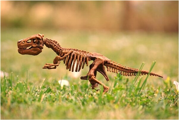 夢到了現實被血濺一身意味著什麼_周公解夢官網