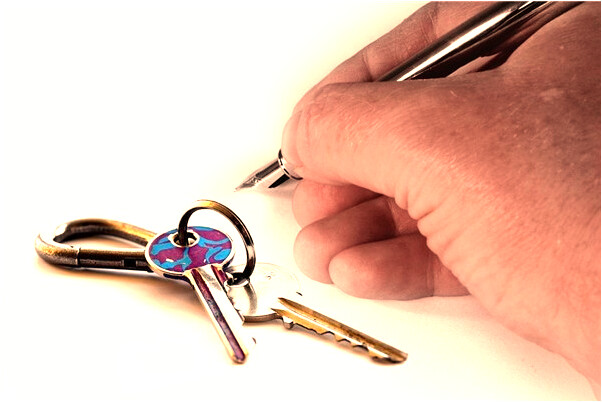 夢到了自己便成小鳥他變成狗有什麼預兆_周公解夢官網