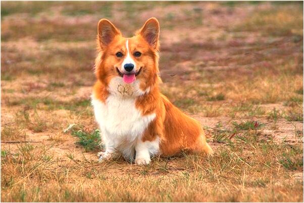 夢到自己脫光衣服在洗澡預示什麼_周公解夢官網