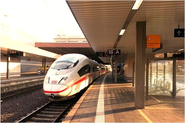 夢到黃色的狗到家裡怎么回事_周公解夢官網