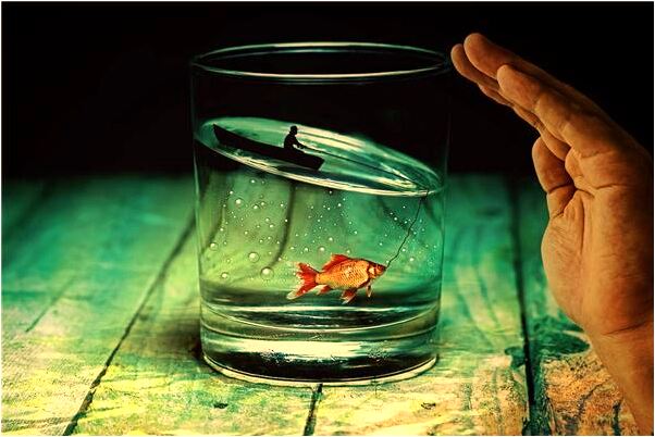 夢到一群狗仔意味著什麼_周公解夢官網