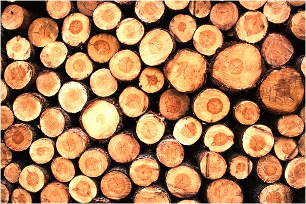 夢見自己背柴回家是好的徵兆嗎_周公解夢官網