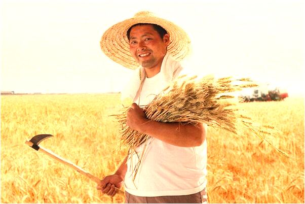 夢到了感動哭了是什麼意思？_周公解夢官網