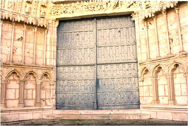 夢到女人家裡很多蛇是什麼徵兆_周公解夢官網