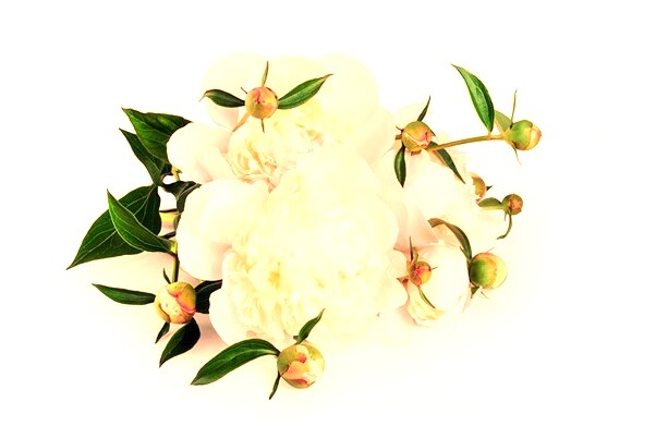 夢到汽車著火是咋回事_周公解夢官網