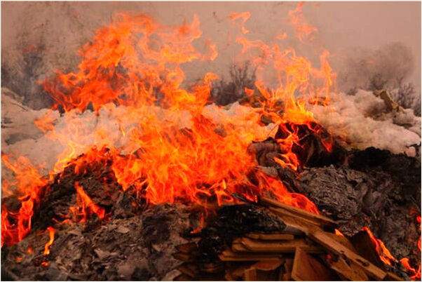 夢到小貓吃大貓的奶什麼寓意_周公解夢官網