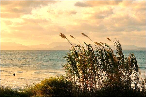 夢到了自己生了雙胞胎兒子代表著什麼_周公解夢官網