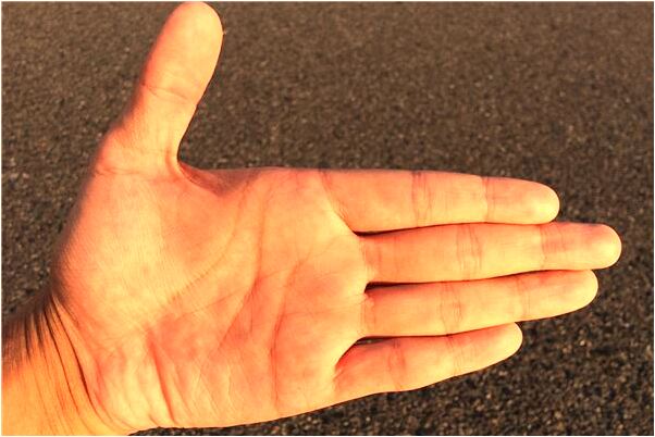 夢見大黑瞎子意味什麼_周公解夢官網