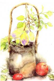 12星座戀人最掃興的地方_十二星座