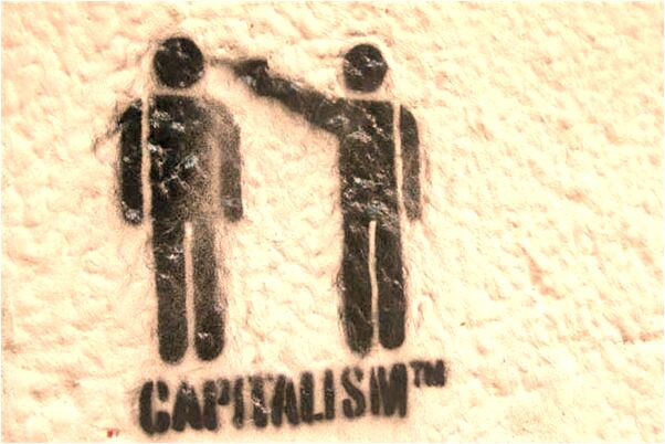 夢到了動物貓意味著什麼_周公解夢官網