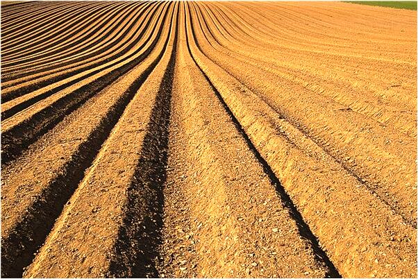 夢見前男友約我出去逛街是啥預兆_周公解夢官網