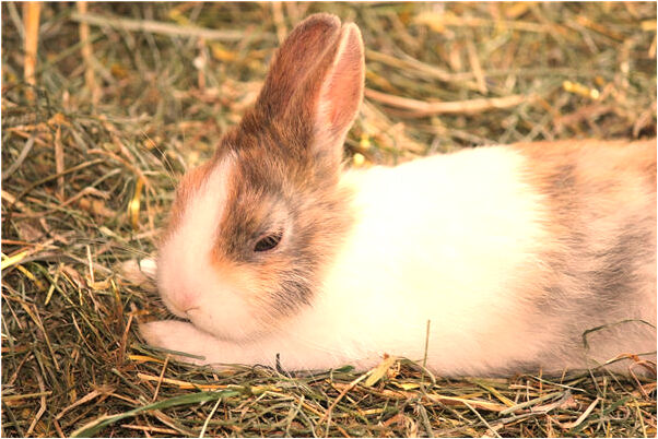 夢到去監獄的路上是啥預兆_周公解夢官網