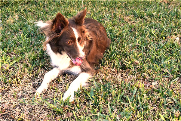 夢見自已在地下室會是什麼預兆_周公解夢官網