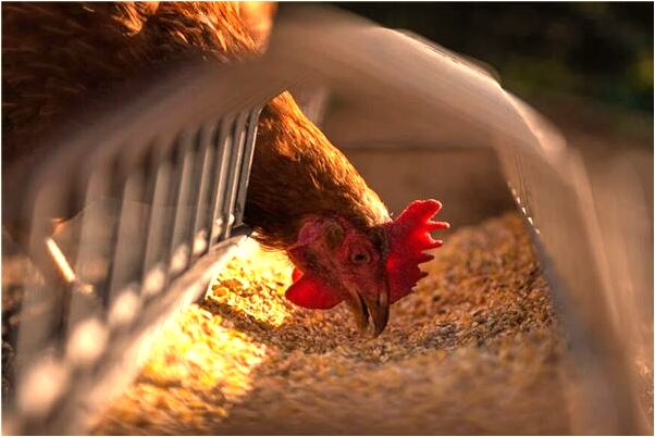 夢到了自己被剪髮了是什麼徵兆_周公解夢官網