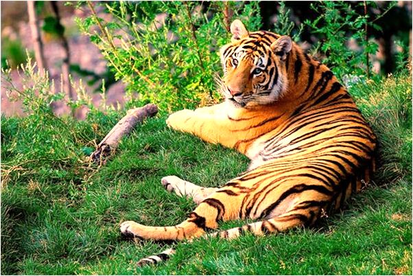 夢見病人別人生小男孩是啥預兆_周公解夢官網