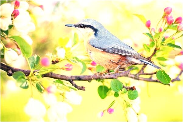 夢到我和夢裡的男朋友親戚打架預兆了什麼嗎_周公解夢官網