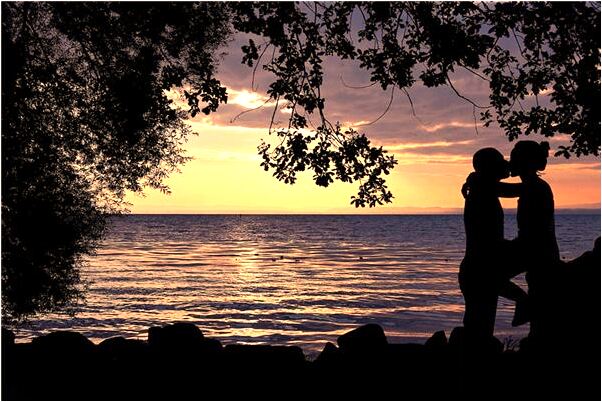 夢到老公狗生小狗是好是壞_周公解夢官網