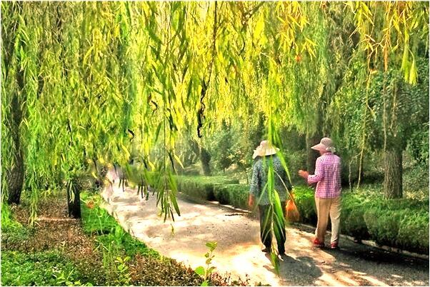 夢到嘴裡吐出蟲子有什麼意思_周公解夢官網