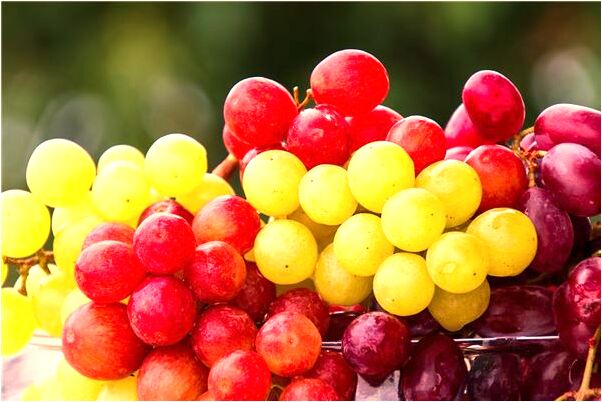 夢到液化氣快要爆炸了什麼寓意_周公解夢官網