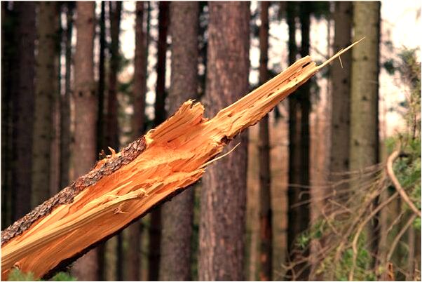 夢到了被去世的奶奶咬一口什麼寓意_周公解夢官網