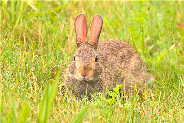夢見爸爸因為喝酒凍死了有什麼意義嗎_周公解夢官網