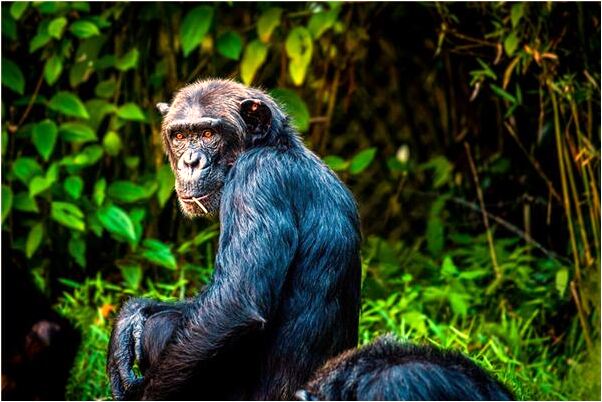 夢到能到在河邊被丟棄的五保胎意味著什麼_周公解夢官網