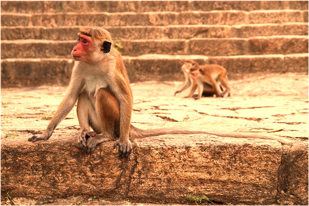 夢見和老婆睡在漏雨的床上預示什麼_周公解夢官網