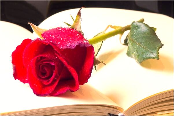 夢到一堆小蛇有什麼徵兆_周公解夢官網