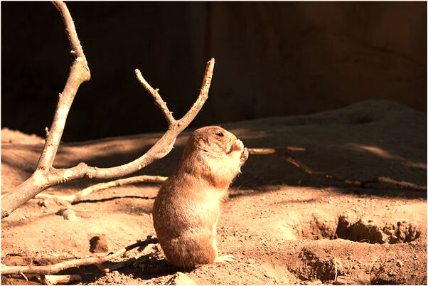 夢見別人被殺流好多血會是什麼預兆_周公解夢官網
