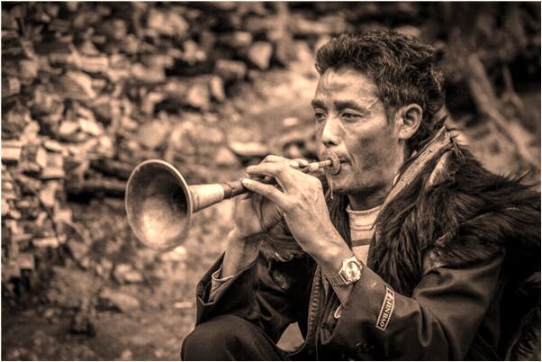 夢到了池塘里有好多魚是什麼預兆_周公解夢官網