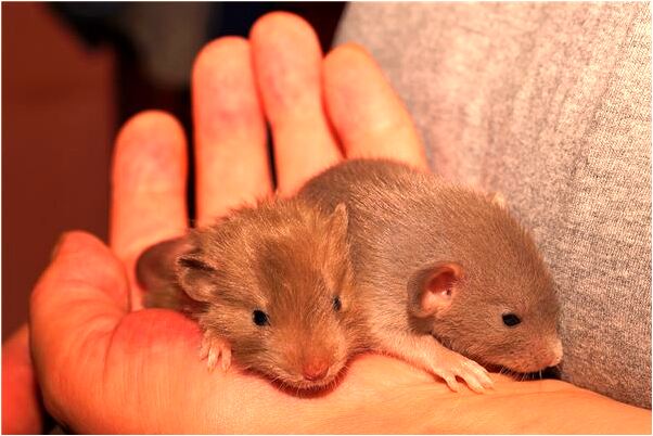 夢到了幾個人掉水裡了怎么樣_周公解夢官網