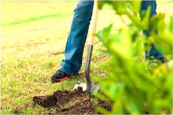 夢見經人指導出洞怎么說_周公解夢官網