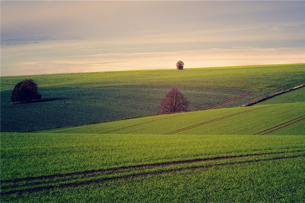 夢見土地是什麼意思_周公解夢