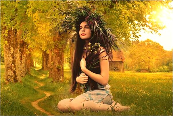 夢到男朋友養了黑色小貓是什麼預兆_周公解夢官網