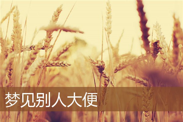 夢見別人大便_周公解夢