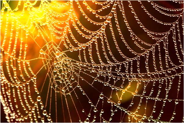 夢到我朋友的妹妹成了我女朋友是好事還是壞事_周公解夢官網