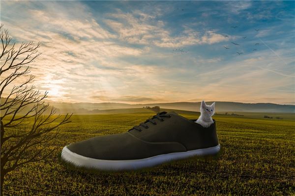 夢到了大鞋子啥意思_周公解夢