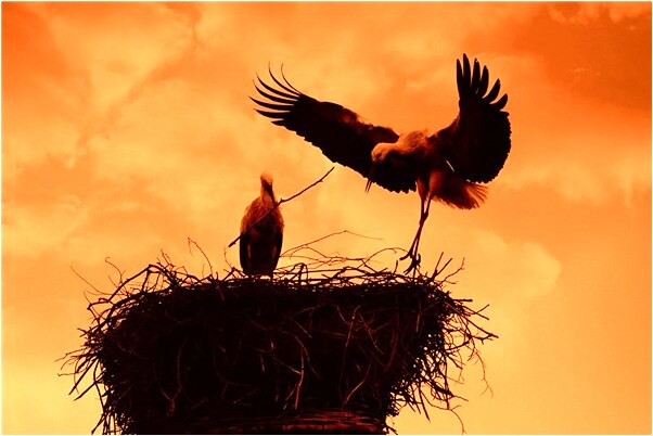 夢到了別人務解我很傷心會是什麼預兆_周公解夢官網