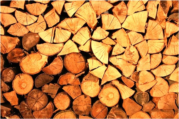 夢見食人魚咬手指是什麼意思_周公解夢官網