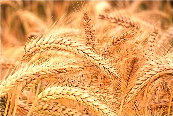 夢到了去外婆家走親戚是好是壞_周公解夢官網